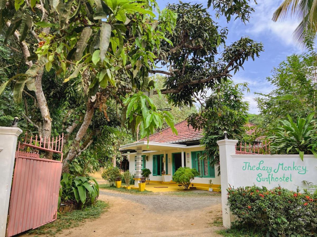 Lazy Monkey Sri Lanka Hostel Dickwella Exterior photo